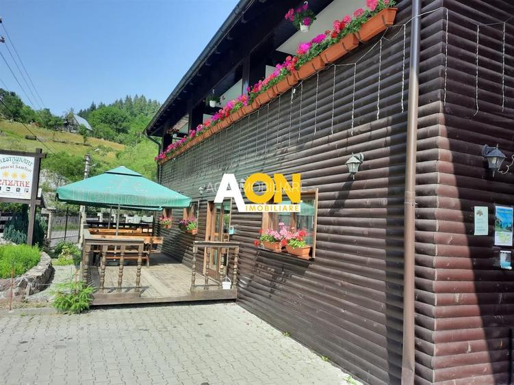 Pensiune in Muntii Apuseni 10 camere 1007 mp teren - 5