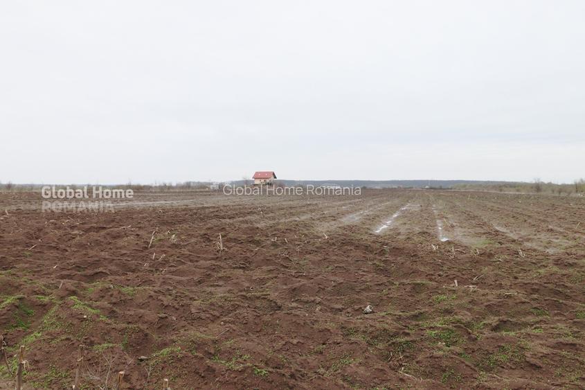 Teren 4000 mp lângă Pădurea Petrești | Investiție dezvoltare | Corbeanca - 4