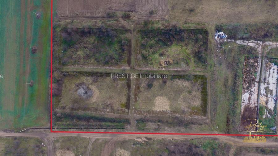Domeniu - Centru de colectare, 7 ha de vanzare in Valea lui Mihai - 13