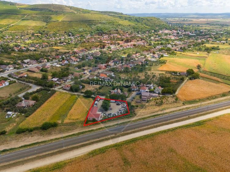 Spațiu industrial cu potential de vanzare in Paulis,Arad - 25