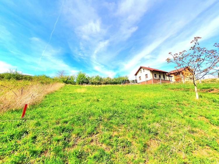 Teren Intravilan 708 mp cu PUZ Aprobat si autorizatie de constructie! - 4