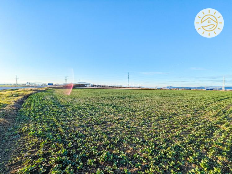 Teren intravilan 22800mp la 2km de Parcul Industrial Prejmer - 2