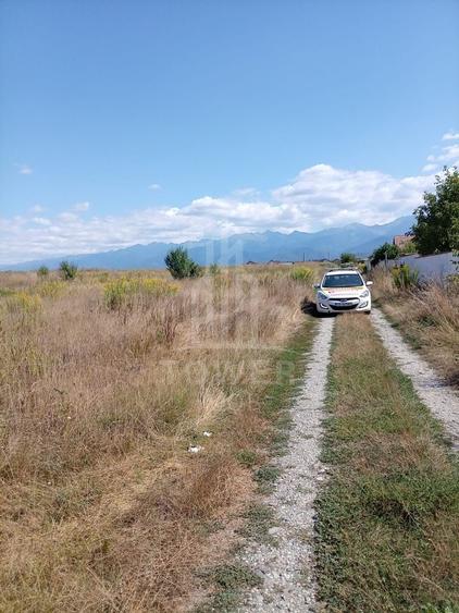 Teren intravilan de vânzare în Avrig | 1.000 mp | PUZ aprobat