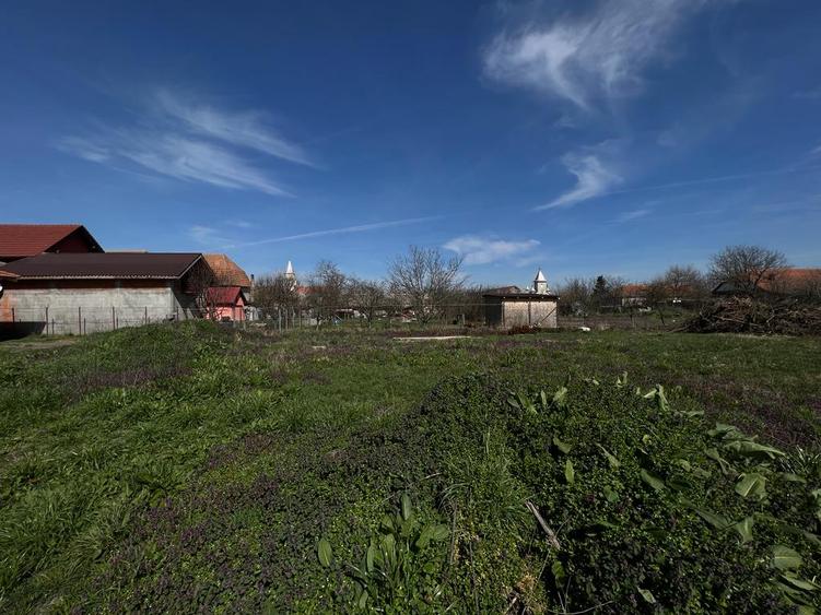 Vand teren in sat Covaci.908mp.Pret 63000 Euro (69euro mp)