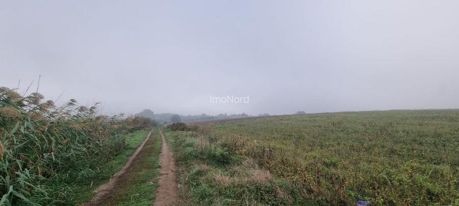 Creata  -  Dascalu teren de vânzare - 7567 mp cu dublu acces lângă lac - 8