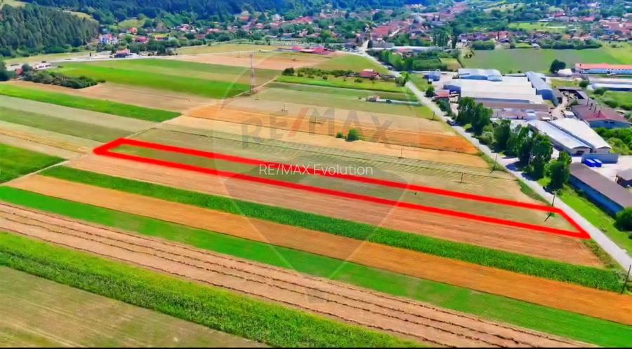 TEREN extravilan- 6 E/MP- CU PLANTATIE DE TRANDAFIRI! Teliu 7000mp - 11