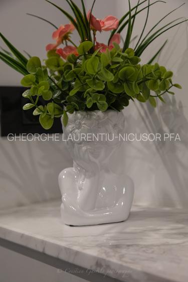 Apartament 3 camere Cismigiu-Sala Palatului - 37