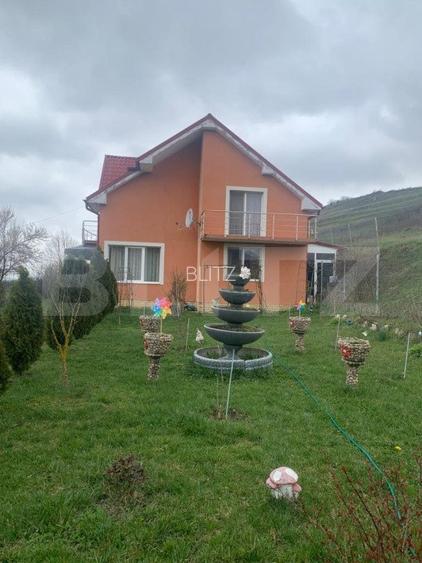 Casa la cheie, teren 2800 mp, Jucu de Sus - 9