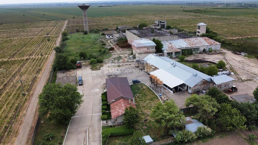 Spațiu industrial vinificatie Dobrinesti - 3