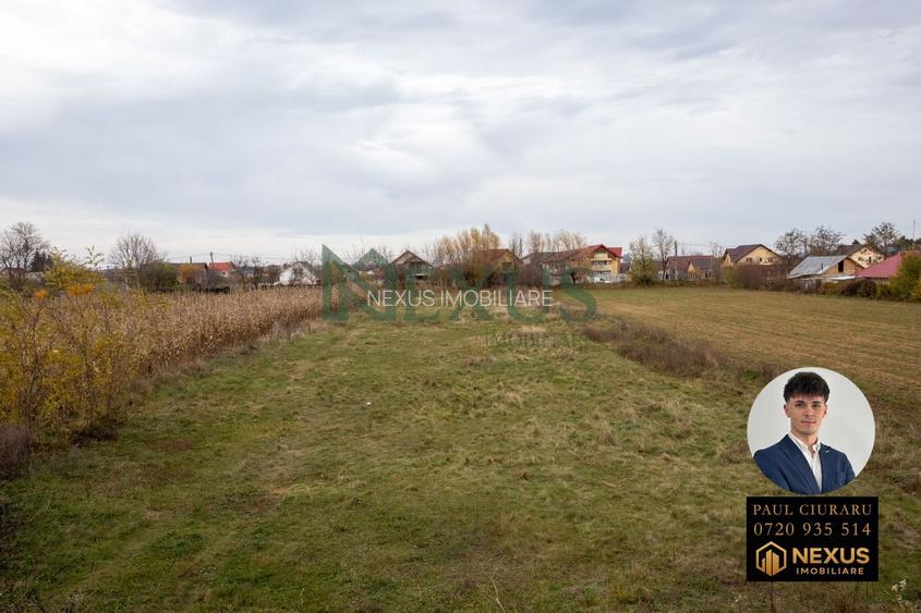 Teren Nicolae Bălcescu 3942 mp intravilan - 5