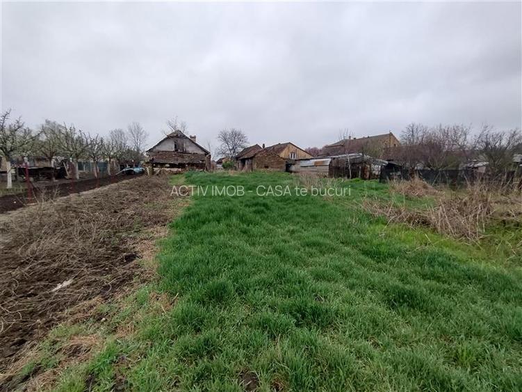 Iecea Mare - Timis, Casa cu Gradina, 1800mp Teren, Pret Negociabil - 5