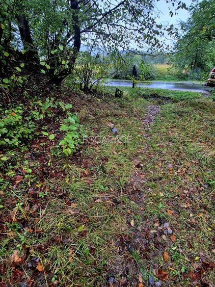 Comision 0%, teren extravilan 12497 mp Sinca Noua - 7