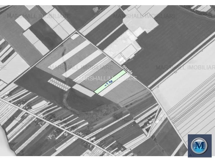 Teren intravilan de vanzare, zona Exterior Sud, 9903 mp #16110 - 2