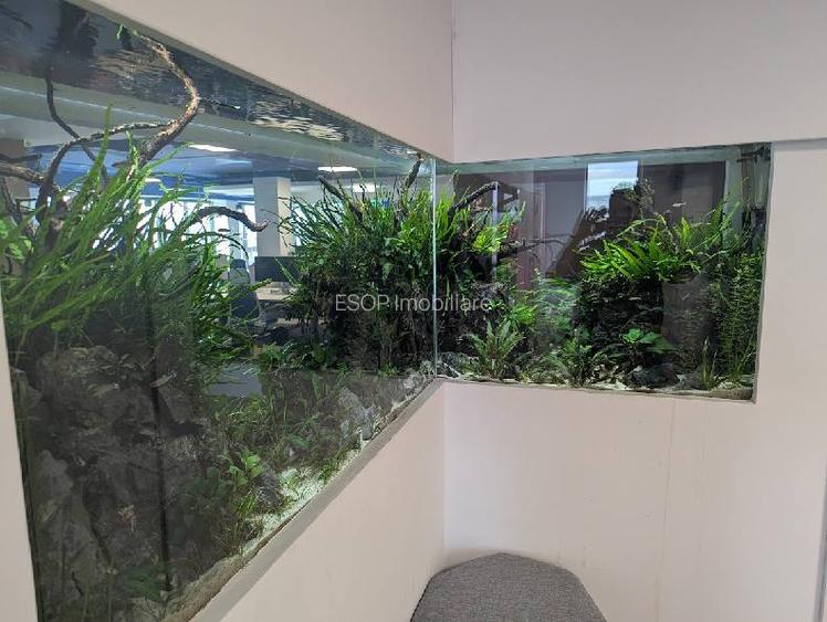 0% comision! Inchiriere birouri Central, 691 - 1869 mp - 6