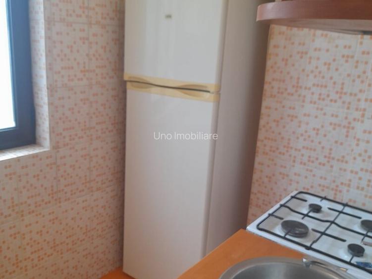 DOROBANTI ,IANCU DE HUNEDOARA GARSONIERA  PET FRIENDLY INCHIRIERE - 6