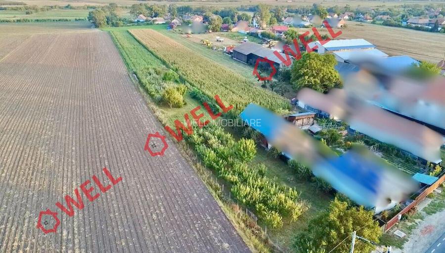 De vânzare teren de 4.590 mp în loc. Lunga - 4