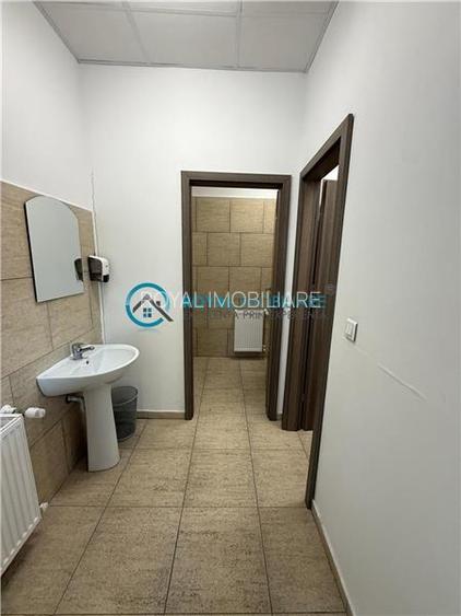 Royal Imobiliare-  Spatiu Industrial Zona Exterior Vest - 30