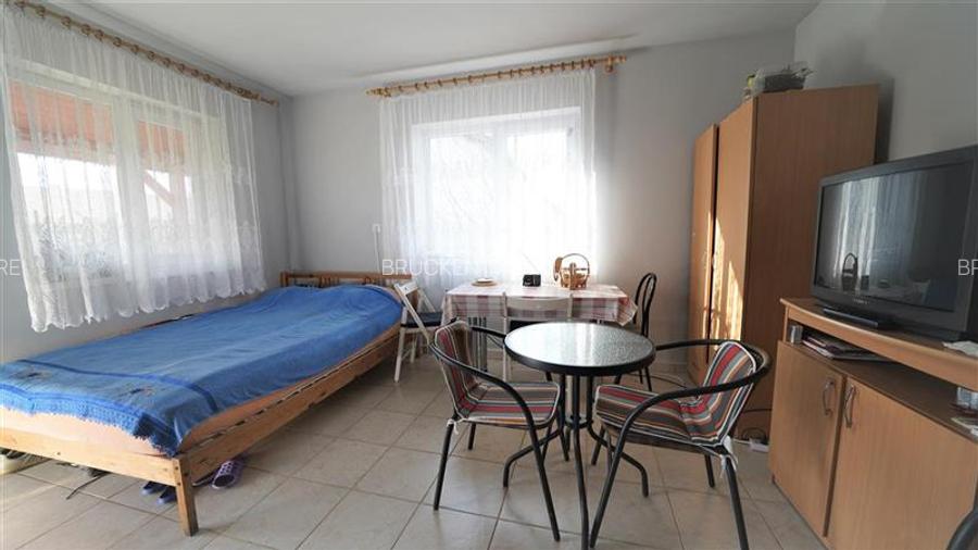 MICRO-FERMA + CASA IN VOIVOZI - BIHOR - 14