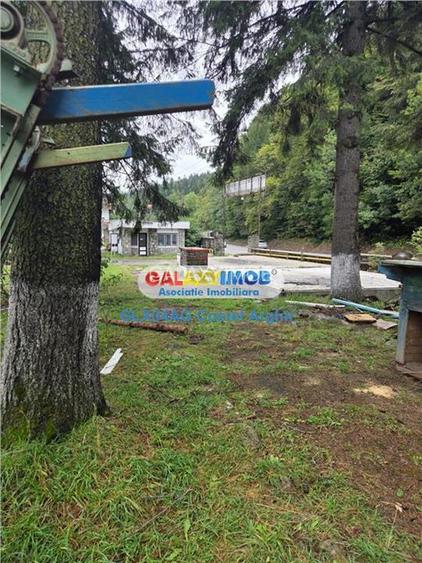 Vindem Vila-Pensiune in Sinaia , teren 6290 mp intravilan CC - 21