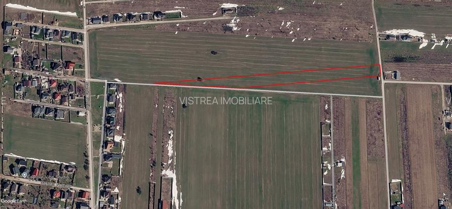 Dragomirești Vale teren intravilan 10.000 mp, asfalt si utilitati - 2