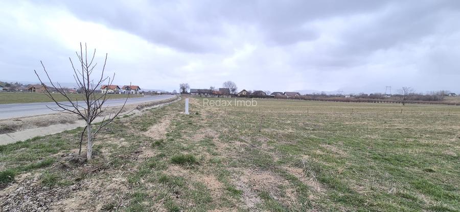 Teren intrare Bran, aproape de Penny, la Drumul European - 2