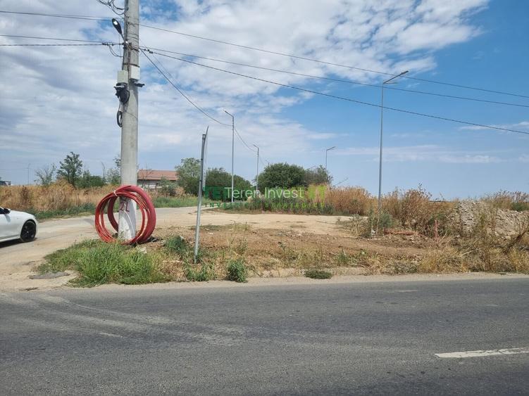 TEREN INDUSTRIAL 20.000 MP - CERNICA - A2 PUZ APROBAT - 14