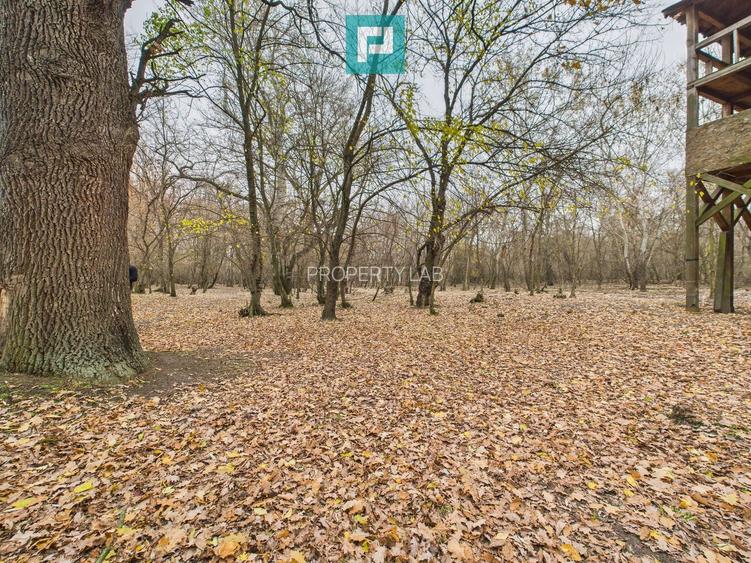 Teren pe malul Muresului- oportunitati multiple - 9