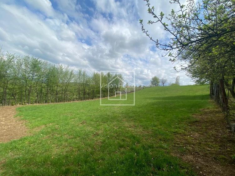 Teren 1200 mp intravilan, deschidere 35 m, utilitati si view munti - 6