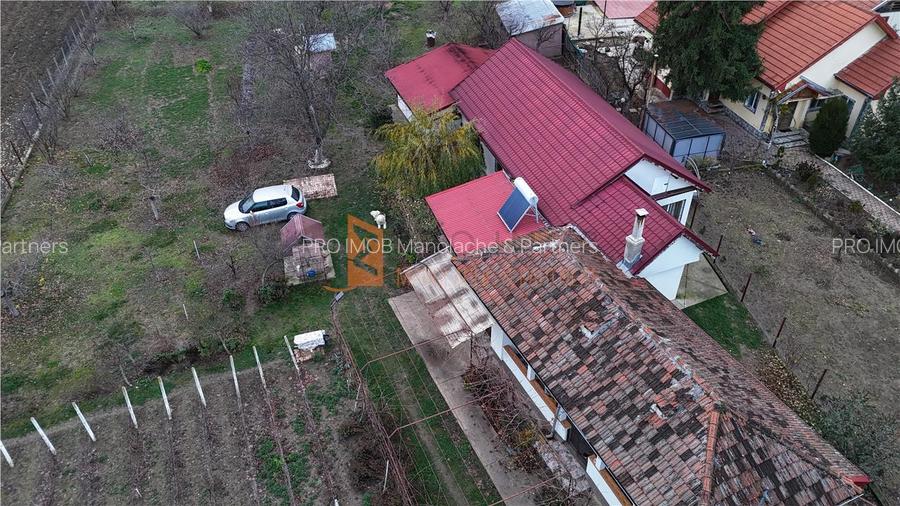 Casa tip parter + beci si teren 4684 mp in Candesti, Vernesti - 2