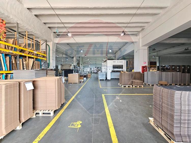 Hale Industriale 5065 mp de vanzare Str. Bradului - Bacau - 5