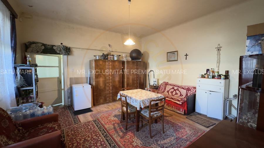 Casa 4 camere cu Teren 2.974 mp | Rezidenta sau afacere | Carei - 19