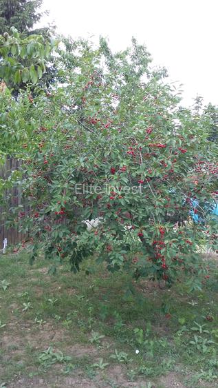 Vanzare casa individuala Otopeni, P+1+Pod, amprenta 130 mp, teren 780 mp - 21