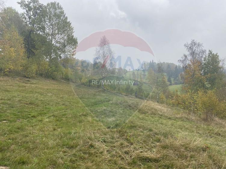 Teren de vanzare 8119 mp Calatele Padure.Muntii Apuseni - 16