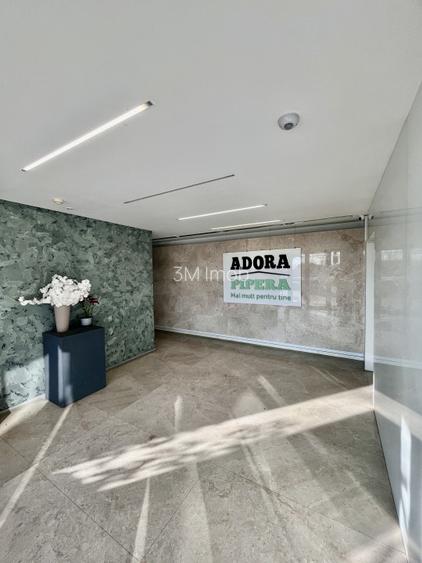 Apt 3 camere-Gradina proprie-2 locuri parcare-Pipera - 15