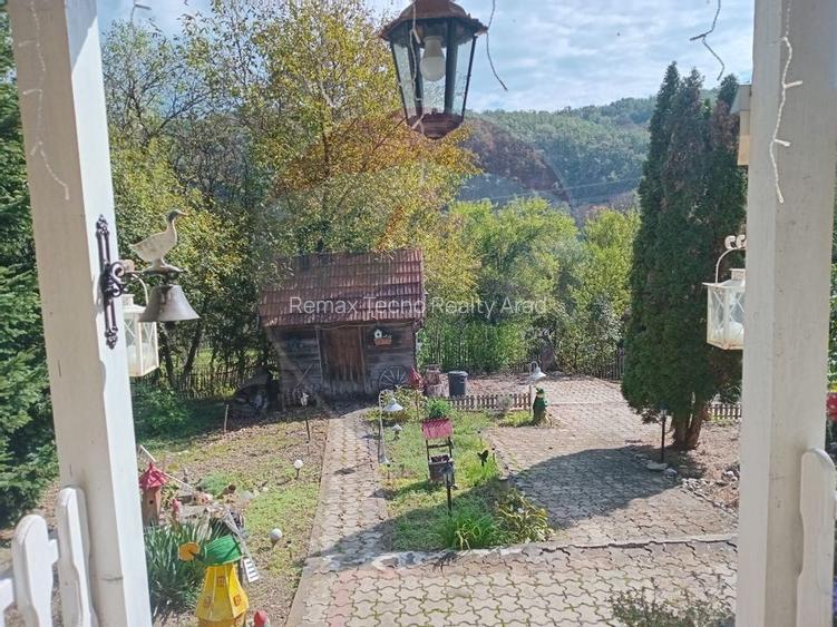 OCAZIE!!! CASA SUPERBA cu teren in JULITA jud Arad in M tii Zarandului - 30