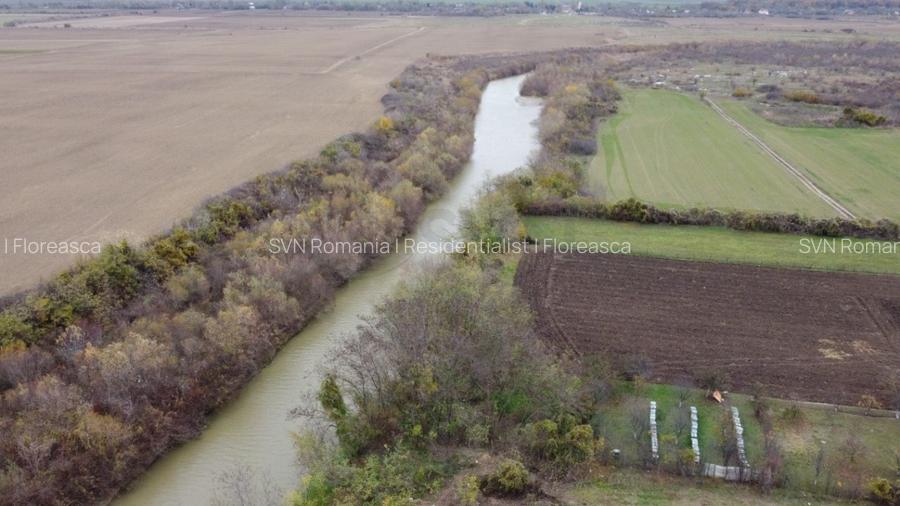 REL4001127 Teren situat langa Padure l Balta Neagra - 3