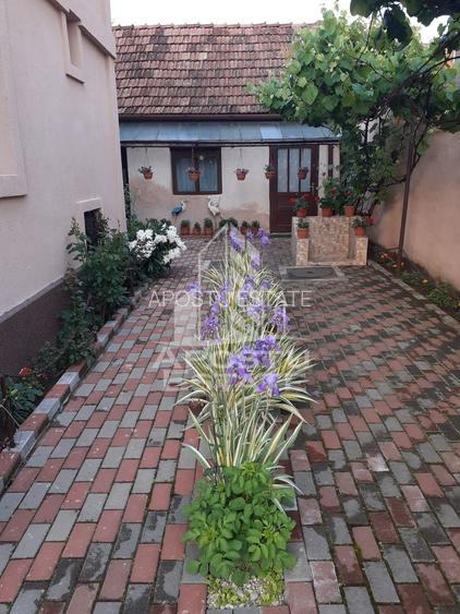 Casa individuala plus anexa, zona centrala in Faget - 6