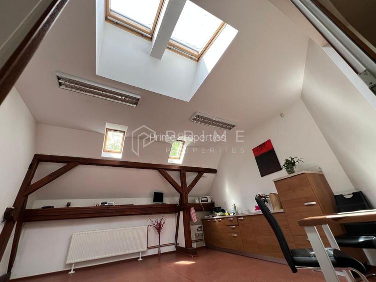 Spații Birouri | Zona Centrală, B-dul Cetății | Mansardă cu Caracter - 11