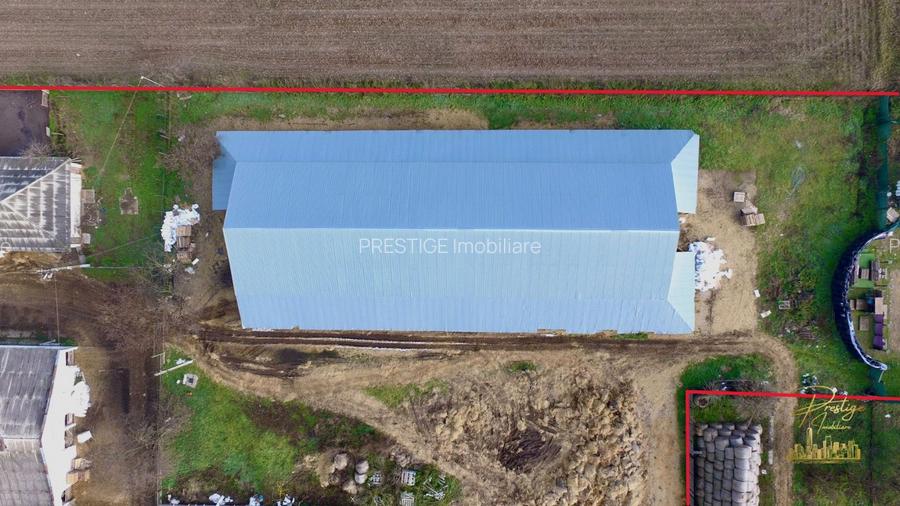 Domeniu - Centru de colectare, 7 ha de vanzare in Valea lui Mihai - 14