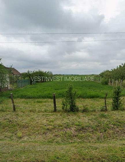 Teren inravilan Săcădat, județul Bihor - 2