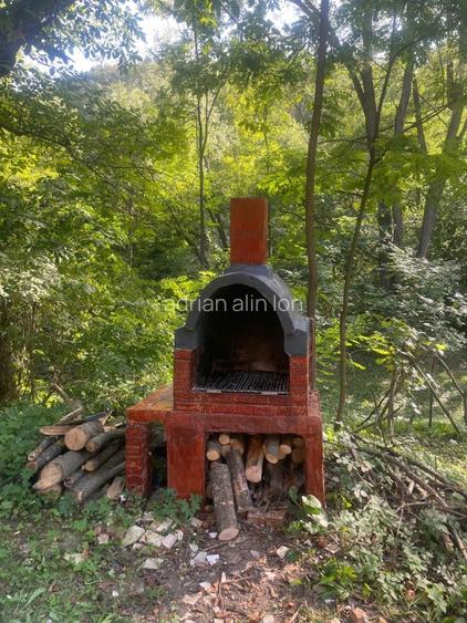 Casă de vancata lângă râu- Provița de Jos - 10