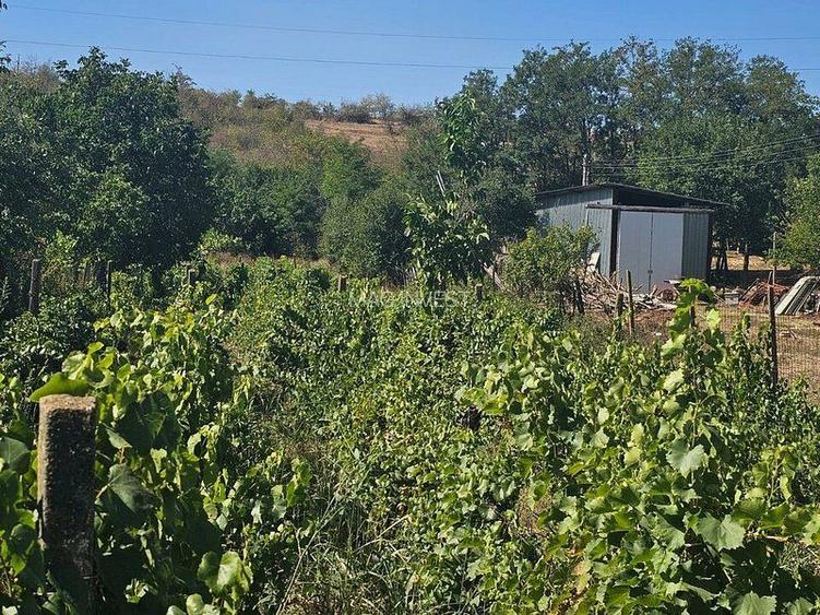 Teren 1800 mp + casa batraneasca - Fartanesti, jud. Galati - 5