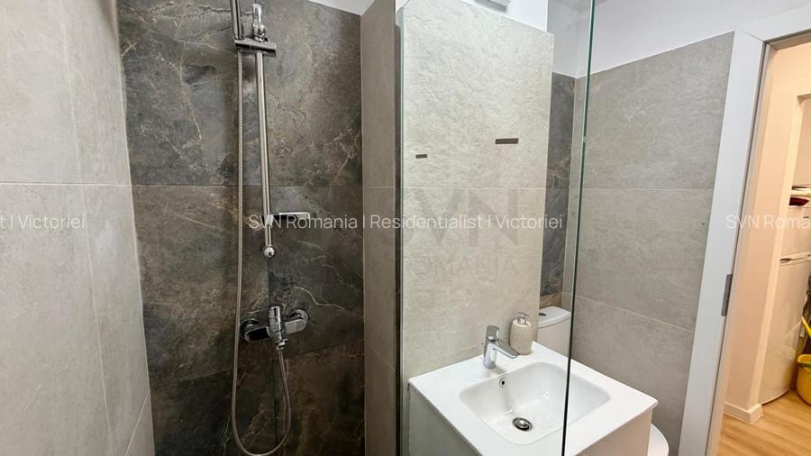 REA1026770 Apartament 2 camere I Victoriei I Renovat I Parter I AIRBNB - 3