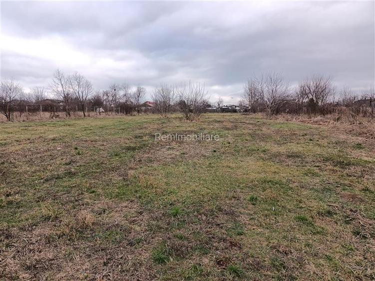 Teren Lacul Snagov Manastirea Snagov - 4