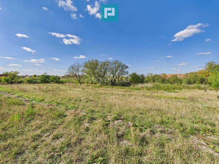 Teren intravilan 6115mp pentru investiții Firiteaz - 5