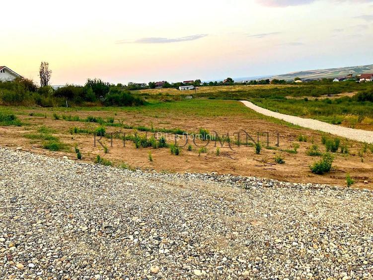 Teren Panoramic Superb, Paleu, Intravilan, 600-685mp - 2