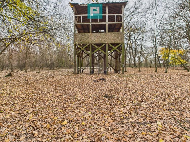 Teren spectaculos la  Periam Port - 15