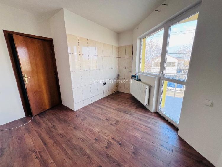 Casa închiriere Banatului 91, stradal, central, particular, pretabil birouri - 8