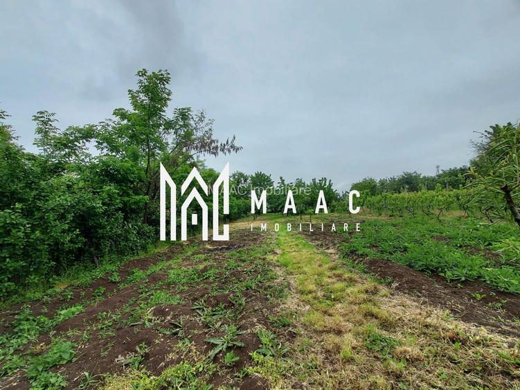 Casa | 1331 mp Teren | Miercurea Sibiului | - 7