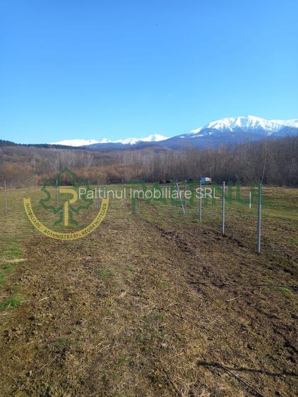 Vindem teren Sibiu, Valea Lupului, priveliste deosebita - 7